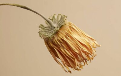 Une fatigue persistante: quand le stress et la charge émotionnelle pèsent trop lourd